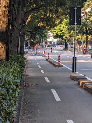Radverkehrsführung in Meran in Italien, schmale Spuren, protected Bike-Line