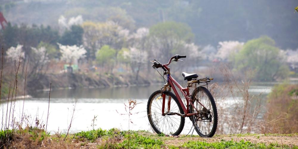 Fahrrad vor See im Frühling, im Hintergrund blühende Bäume
