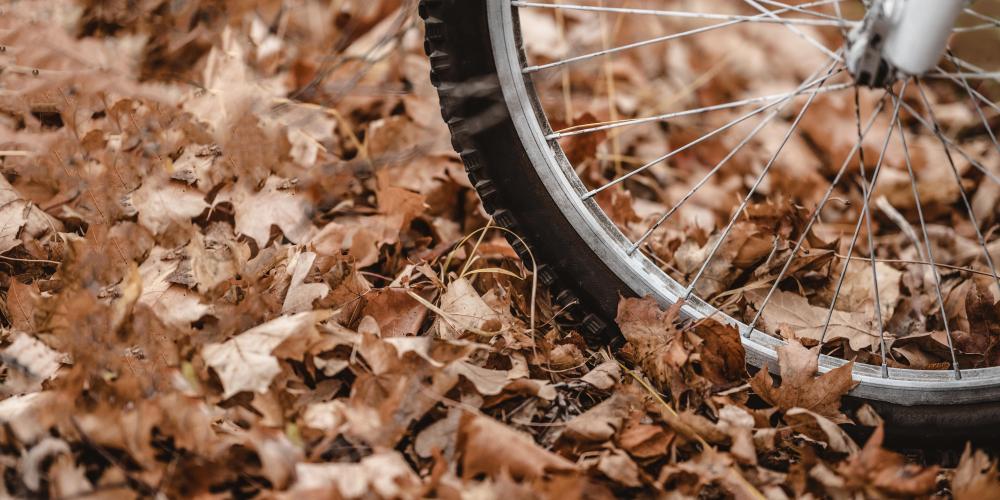Herbstlaub mit breitem Vorderrad eines Fahrrades