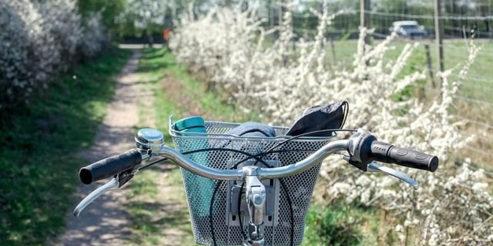 Fahrradlenker mit Korb und Utensilien im Vordergrund des Bildes, auf einem schmalen Weg mit weiß blühenden Hecken an der Seite