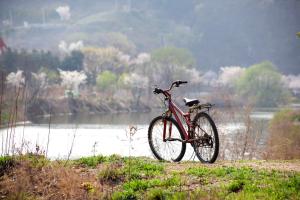 Fahrrad vor See im Frühling, im Hintergrund blühende Bäume