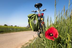 Rad abgestellt am Feldrand mit Mohnblume