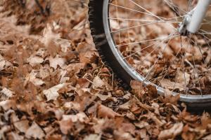 Herbstlaub mit breitem Vorderrad eines Fahrrades