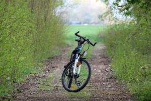 Fahrrad im Frühling auf einem Weg