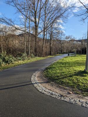 Saaleradweg im Januar 2024 in Jena im Vordergrund der Weg, im Hintergrund Bäime und blauer Himmel