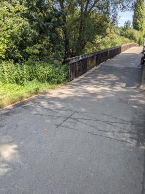 Im Vordergrund der asphaltierte Weg von Westen kommend über die Griesbrücke, man sieht die Rauten im Weg, das sind die Zählschleifen, grüne Ufergehölze