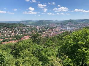 Wald im Vordergrund des Luftbilds, Stätische Bebauung von Jena in der Bildmitte, das Saaltal mit den Höhenzügen  im Hintergrund und blauer Himmel mit ein paar Wolken