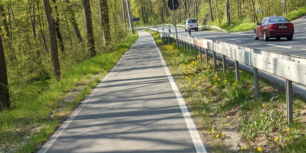 BIld vom Radweg im Mühltal neben der Straße