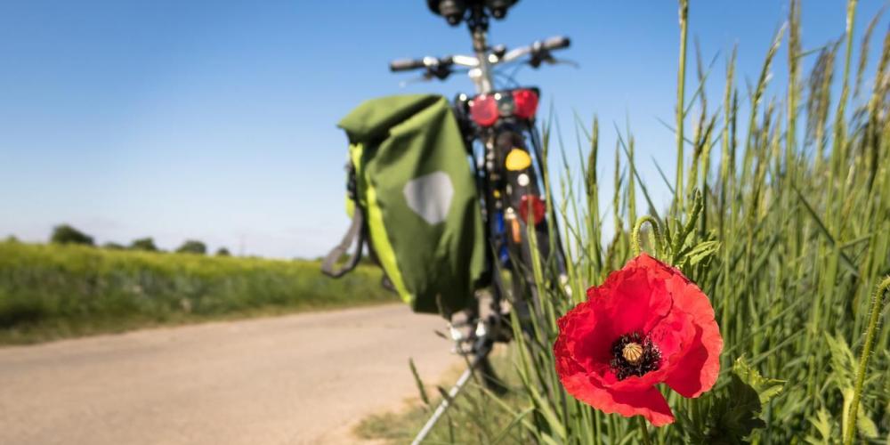 Rad abgestellt am Feldrand mit Mohnblume