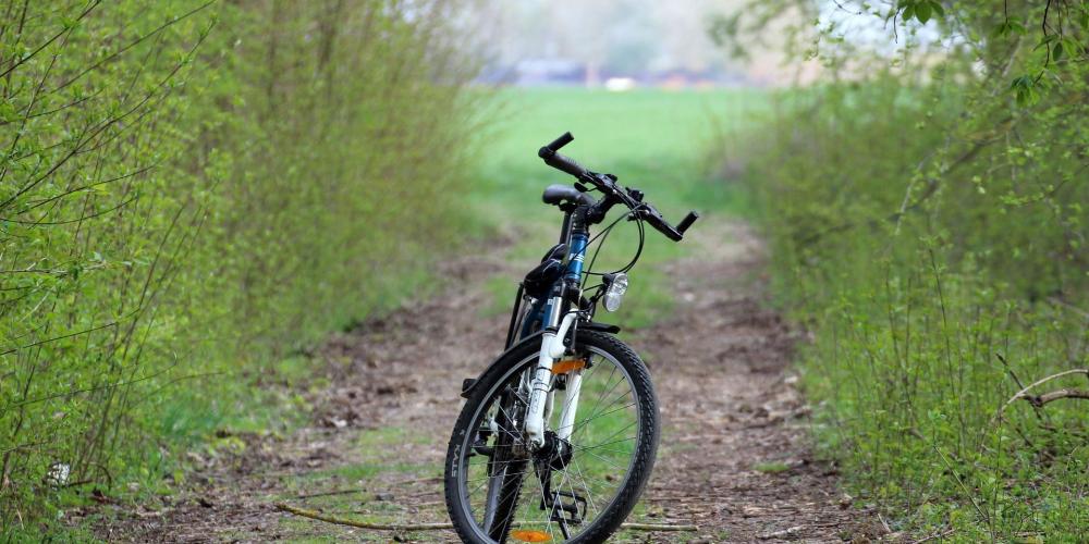 Fahrrad im Frühling auf einem Weg