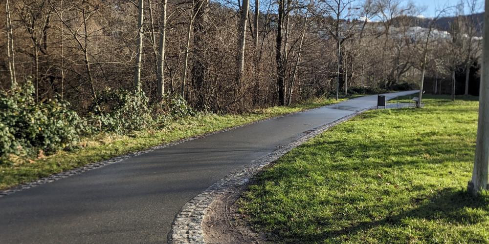 Saaleradweg im Januar 2024 in Jena im Vordergrund der Weg, im Hintergrund Bäime und blauer Himmel