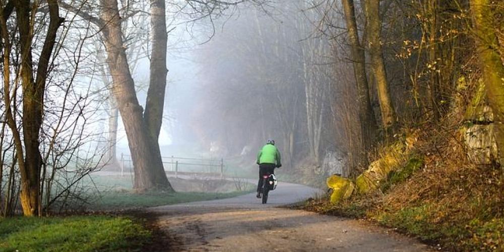 Radfahrer von hinten mit NEongrüner Jacke auf einem Weg seitliche Bäume und rechts ein Hang