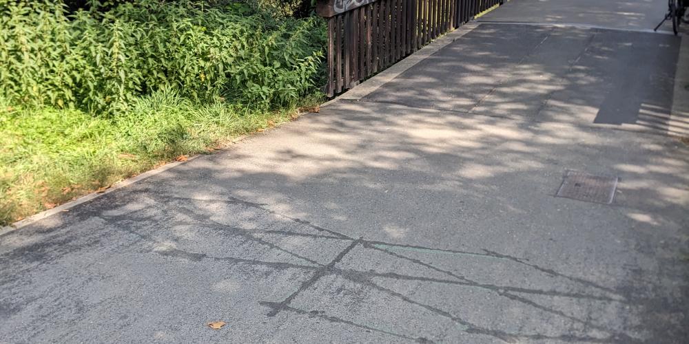 Im Vordergrund der asphaltierte Weg von Westen kommend über die Griesbrücke, man sieht die Rauten im Weg, das sind die Zählschleifen, grüne Ufergehölze