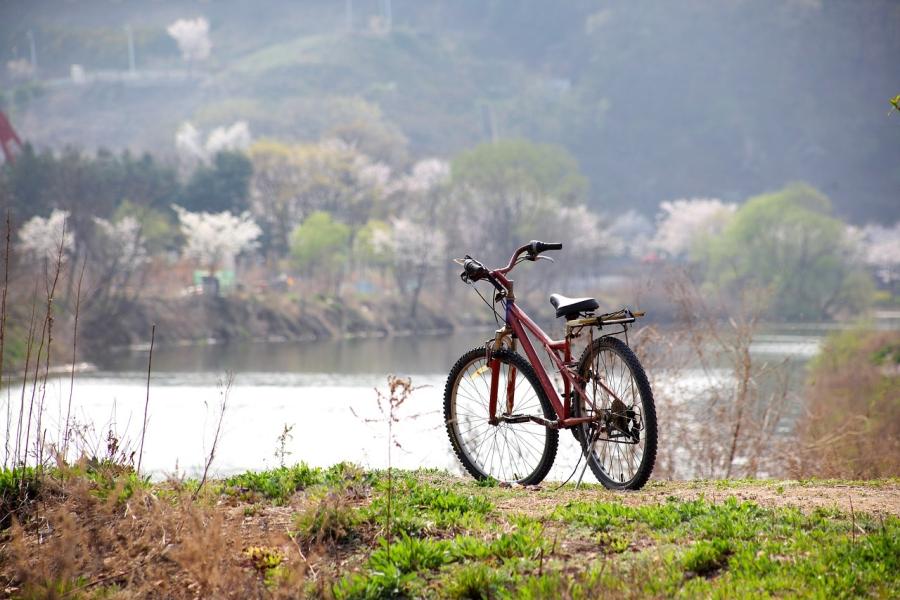 Fahrrad vor See im Frühling, im Hintergrund blühende Bäume
