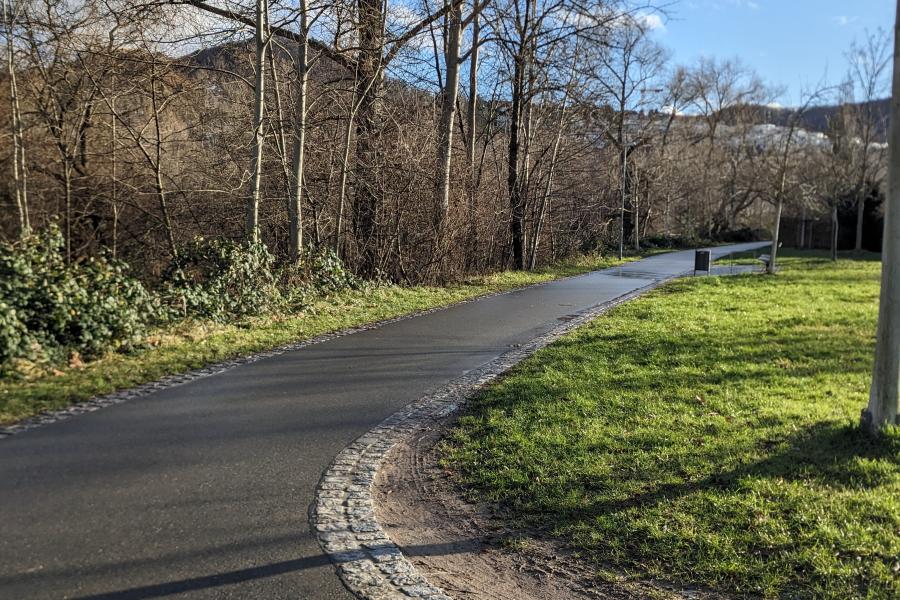 Saaleradweg im Januar 2024 in Jena im Vordergrund der Weg, im Hintergrund Bäime und blauer Himmel